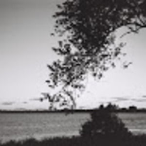 Meet your Posher, Audrey